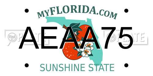 AEAA75 Florida License Plate
