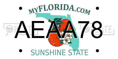 AEAA78 Florida License Plate