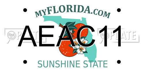 AEAC11 Florida License Plate