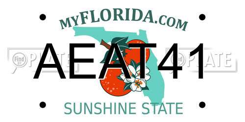 AEAT41 Florida License Plate