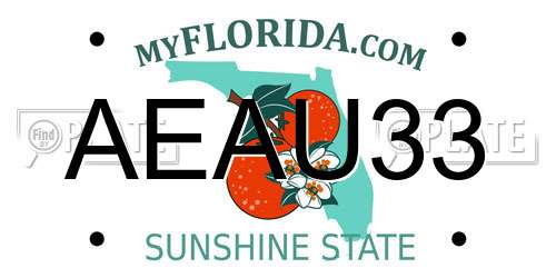 AEAU33 Florida License Plate
