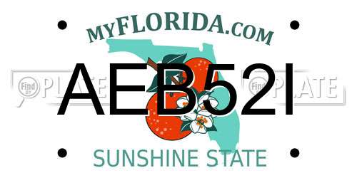 AEB52I Florida License Plate
