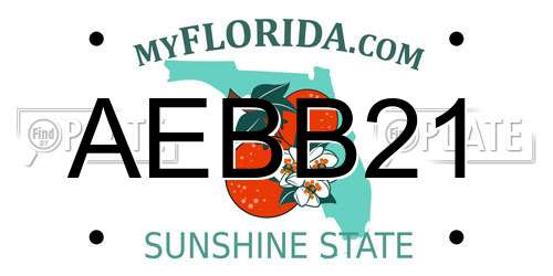 AEBB21 Florida License Plate