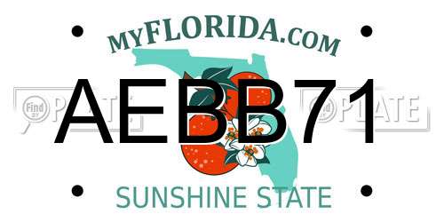 AEBB71 Florida License Plate