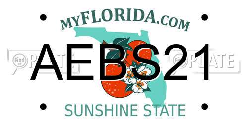 AEBS21 Florida License Plate