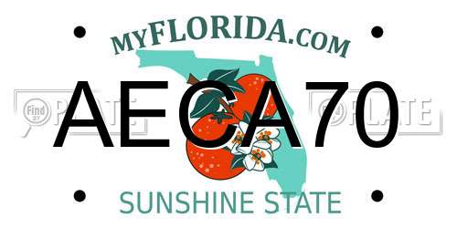 AECA70 Florida License Plate
