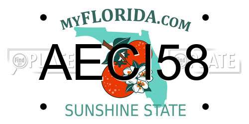 AECI58 Florida License Plate