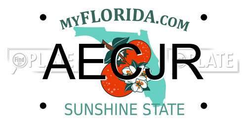 AECJR Florida License Plate