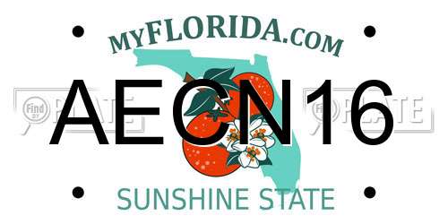AECN16 Florida License Plate