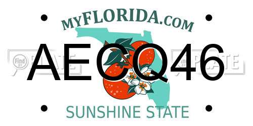 AECQ46 Florida License Plate