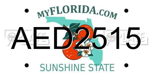 AED2515 Florida License Plate