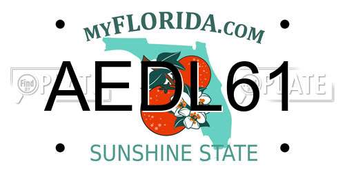 AEDL61 Florida License Plate