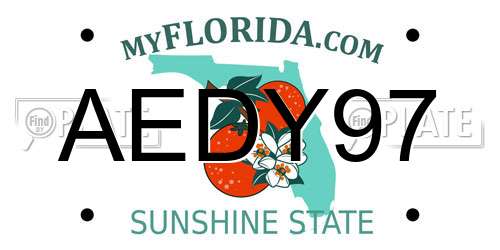 AEDY97 Florida License Plate