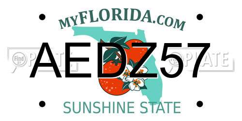 AEDZ57 Florida License Plate