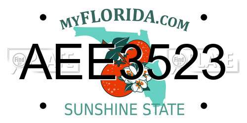 AEE3523 Florida License Plate