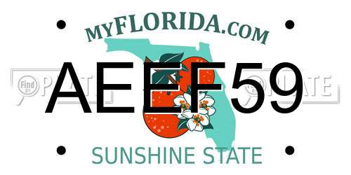 AEEF59 Florida License Plate