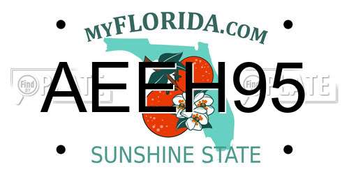 AEEH95 Florida License Plate