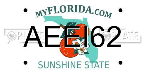 AEEI62 Florida License Plate