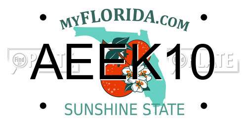 AEEK10 Florida License Plate