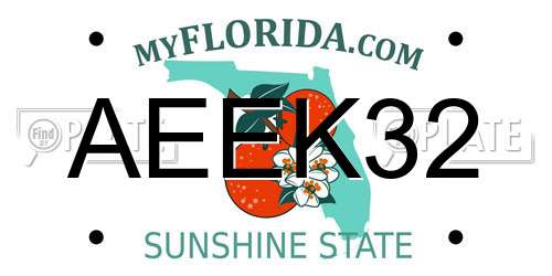 AEEK32 Florida License Plate