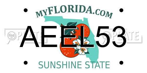 AEEL53 Florida License Plate