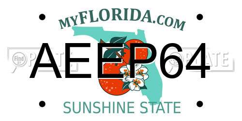 AEEP64 Florida License Plate