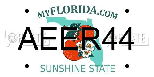 AEER44 Florida License Plate