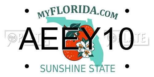 AEEY10 Florida License Plate