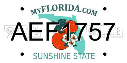AEF1757 Florida License Plate