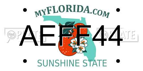 AEFF44 Florida License Plate