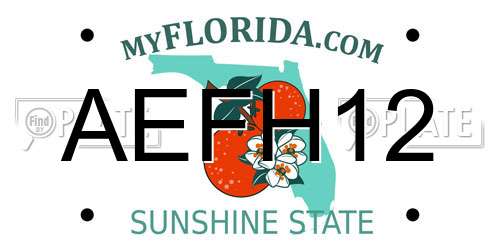 AEFH12 Florida License Plate