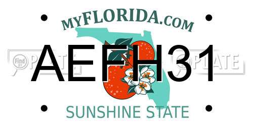 AEFH31 Florida License Plate