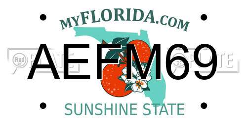 AEFM69 Florida License Plate