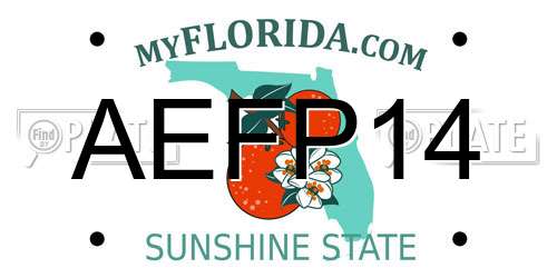 AEFP14 Florida License Plate