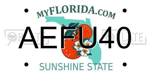 AEFU40 Florida License Plate