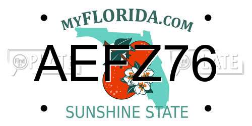 AEFZ76 Florida License Plate