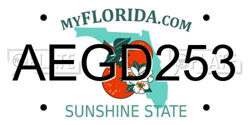 AEGD253 Florida License Plate