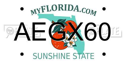 AEGX60 Florida License Plate