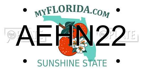 AEHN22 Florida License Plate