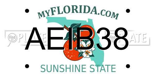 AEIB38 Florida License Plate