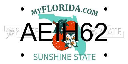 AEIH62 Florida License Plate