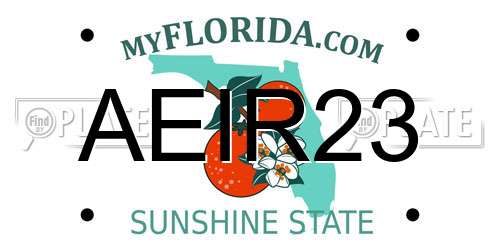 AEIR23 Florida License Plate
