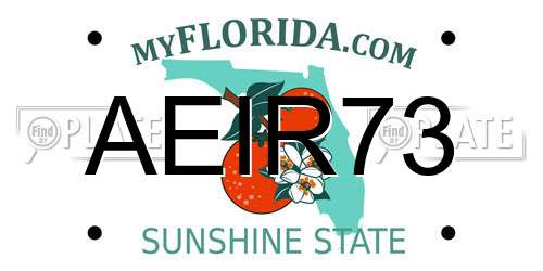AEIR73 Florida License Plate