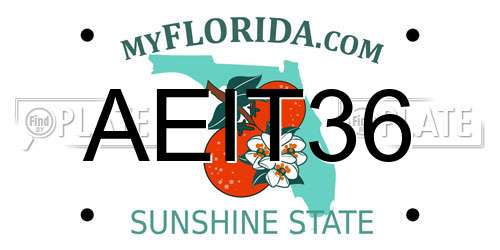 AEIT36 Florida License Plate