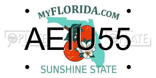 AEIU55 Florida License Plate