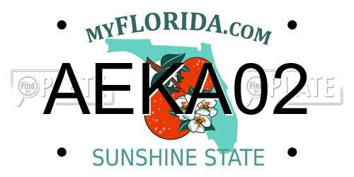 AEKA02 Florida License Plate