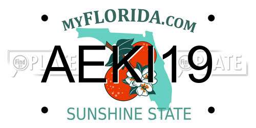 AEKI19 Florida License Plate