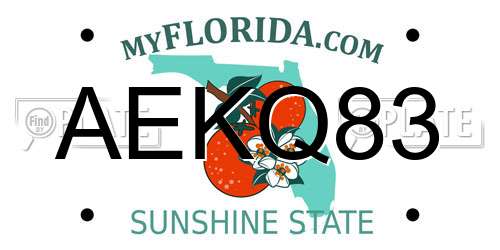 AEKQ83 Florida License Plate