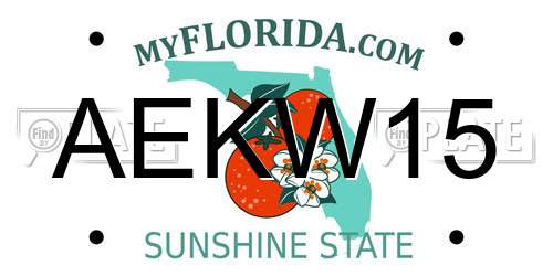 AEKW15 Florida License Plate