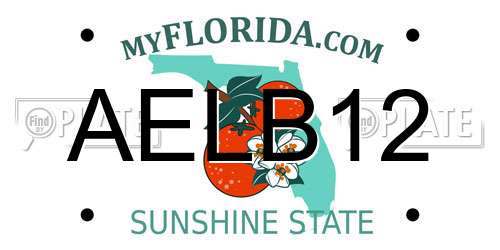 AELB12 Florida License Plate